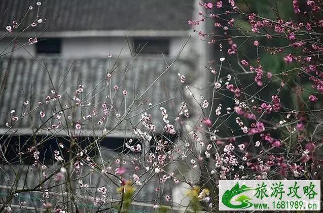 徽州3月份旅游景点