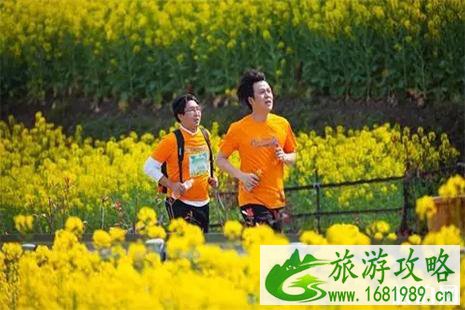 2022灌云油菜花节4月4日开启 附活动时间安排