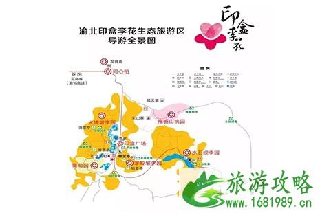 2022重庆第九届印盒李花节3月7日开启