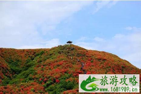 浏阳大围山门票多少钱