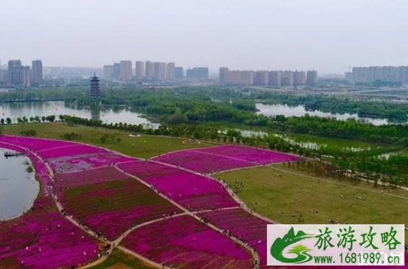 长沙哪里赏花最好 长沙周边赏花攻略