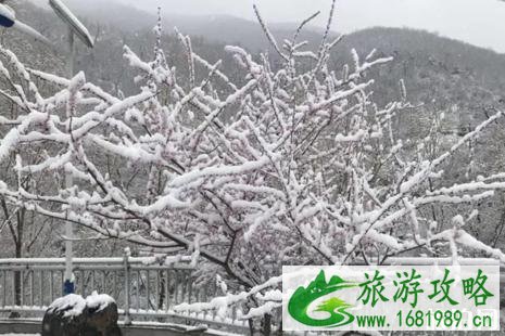 北京下雪2022年四月 北京下雪公交线路调整