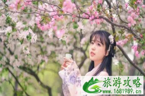 2022保定阜平樱花节4月20日开启 附活动时间安排