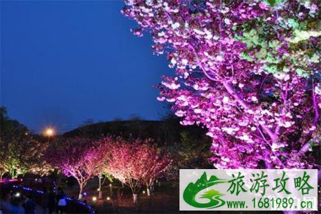 2022大连旅顺樱花节4月19日至5月20日开启 附赏花攻略