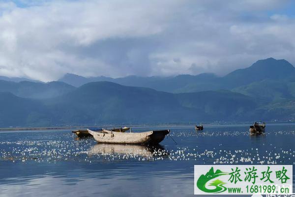 4月最适合去哪里旅游