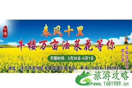 2022兖州牛楼花海彩田油菜花节3月30日开启 附门票信息