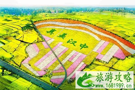 2022镇巴油菜花节赏玩线路 附活动信息