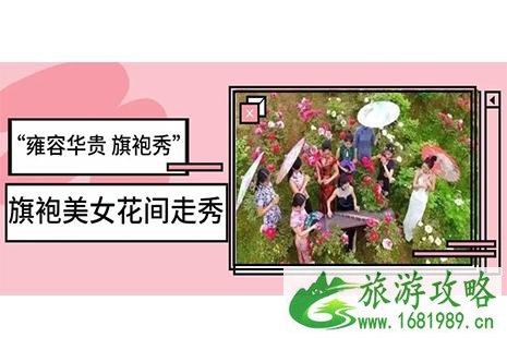 马鞍山采石矶牡丹节4月1日开启 附活动信息