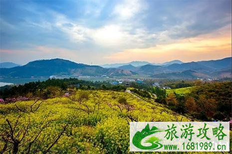 2022常州城山沟桃花节3月29日开启 附活动时间