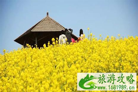 2022常州城山沟桃花节3月29日开启 附活动时间