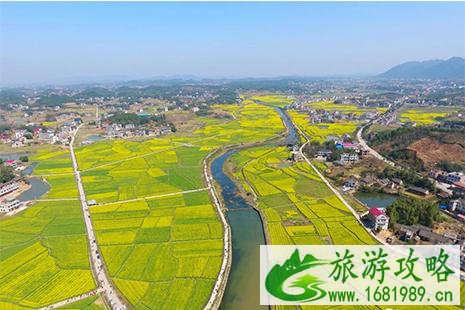 2022娄底双峰油菜花节3月26日开启