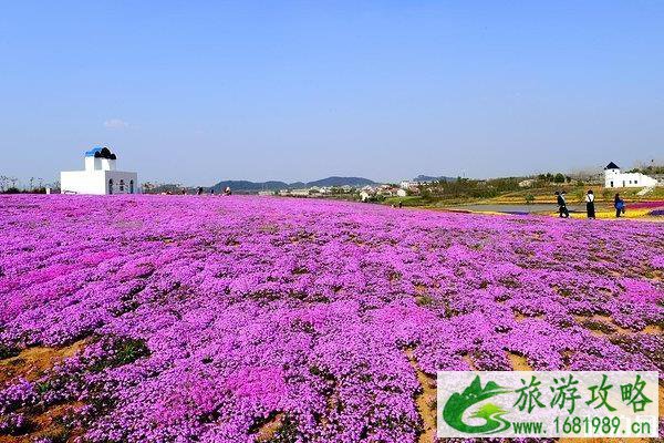 江夏薰香悦花卉世界游玩攻略