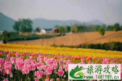 2022巢湖半汤郁金香节2月28日 附活动时间安排