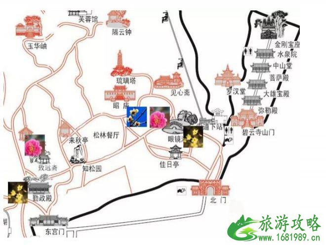 2022北京香山公园赏花攻略