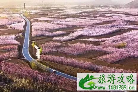 2022雄安哪里可以赏花 雄安赏花地图