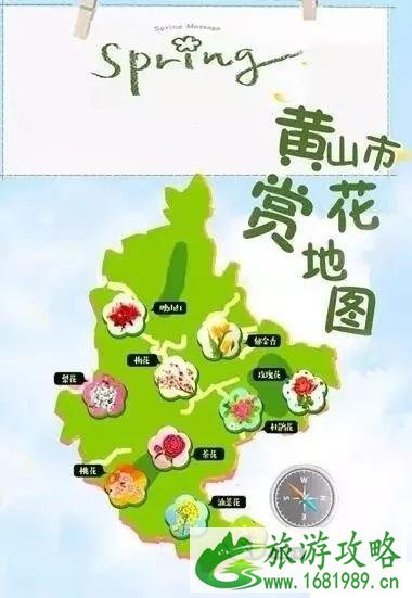 黄山春季赏花地图 附表+路线