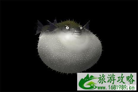 2022扬中河豚节3月8日开启 2022扬中河豚节3月8日开启