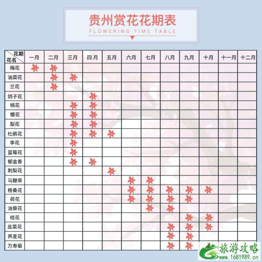 三月贵州哪里适合赏花 2022贵州全年赏花时间表