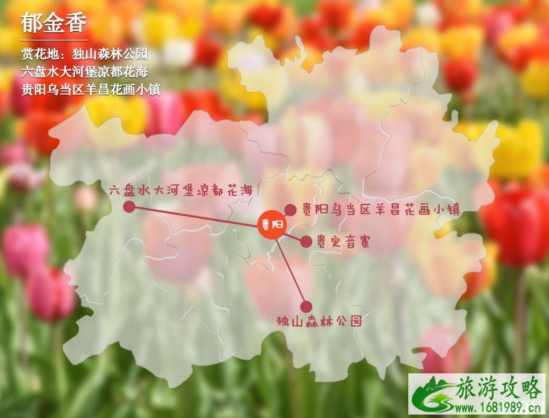 三月贵州哪里适合赏花 2022贵州全年赏花时间表