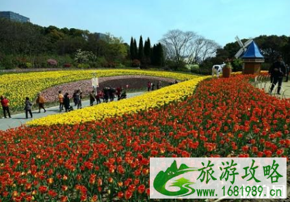 郑州植物园花展2022地点+时间