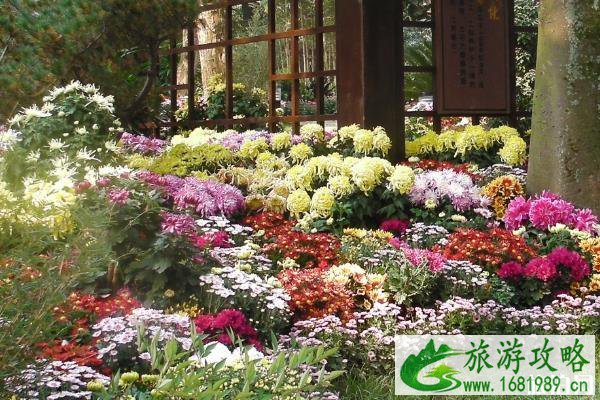 杭州植物园导游图 杭州植物园导览图