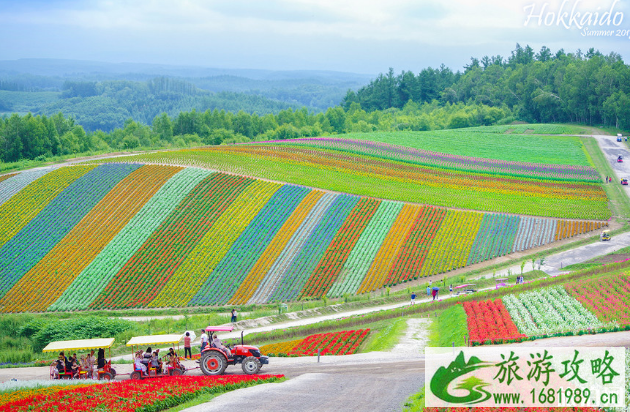 北海道哪里适合拍照 北海道旅拍地点推荐