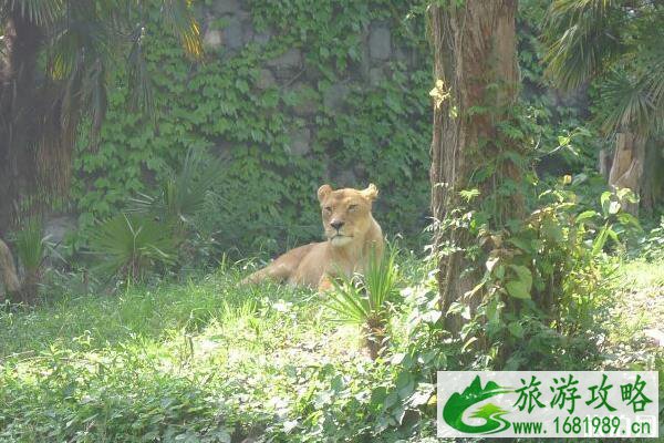 武汉动物园周边美食推荐