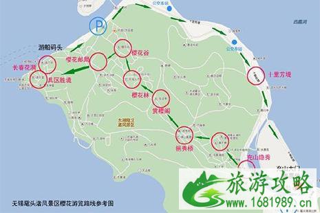 2022鼋头渚樱花节时间 赏樱花攻略