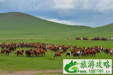 呼伦贝尔大草原南北环线路线 附详细路线