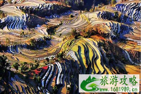 2022春节带父母在国内哪里旅游好 2022春节带父母在国内哪里旅游好