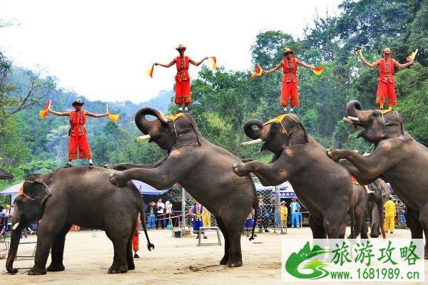 西双版纳自驾游路线推荐 西双版纳自驾游经典路线