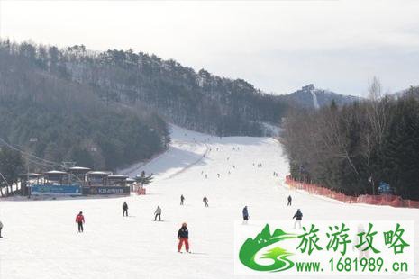 韩国滑雪攻略 2022华川山鳟鱼冰雪节时间+地点