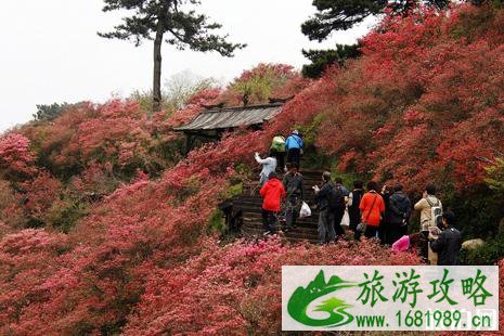 上饶有什么好玩的 上饶旅游景点推荐