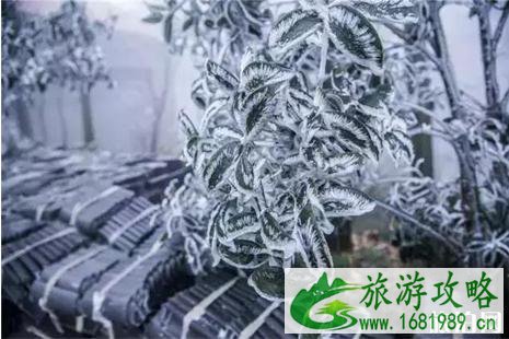 河南景区门票优惠政策2022正月初一到正月十五