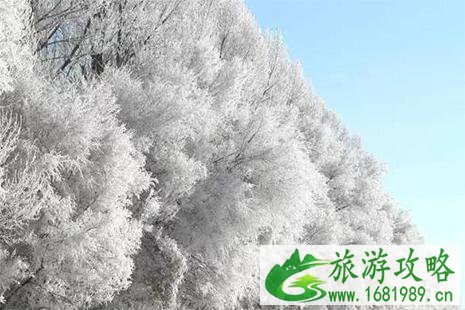 仟睿达冰雪世界门票 什么时候开放+交通