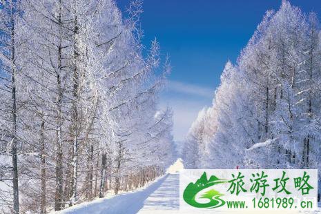 2022年12月30日全国高速受到暴雪影响的高速有哪些