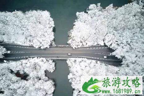 南方下雪的城市有哪些2022年12月