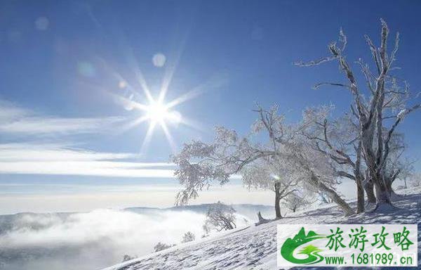 雪乡旅游攻略2022最新版