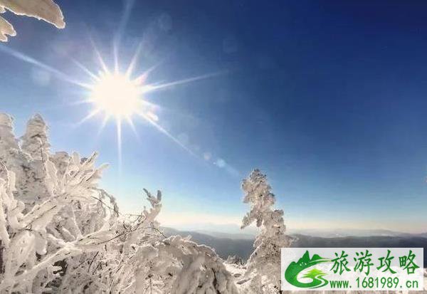 雪乡旅游攻略2022最新版