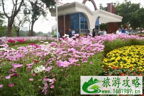 2022广州赏花活动时间+地址 广州12月赏花的地方