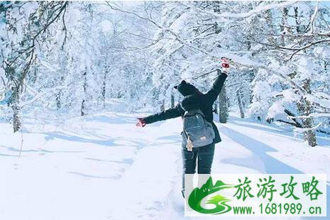 冰灯跟冰雕有什么区别 东北滑雪基本问答