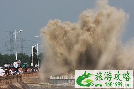 钱塘江大潮观潮地点+时间