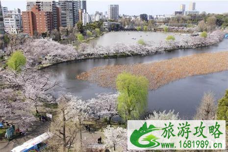 东京胶囊旅馆价格+地址