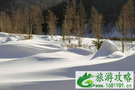 坝上草原下雪2022雪景推荐+门票+交通