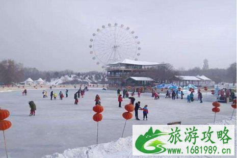 乌鲁木齐植物园冰场交通+有什么好玩的