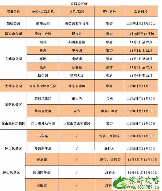 南京落叶不扫时间+地点+详情