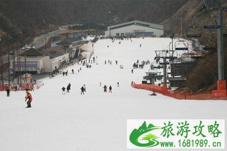 江原道滑雪攻略