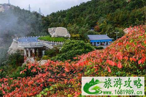 2022青岛崂山门票优惠政策 崂山旅游直通车信息