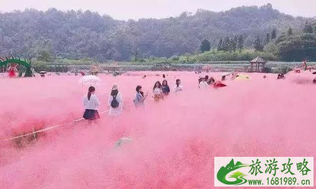 温州好玩的小众景点