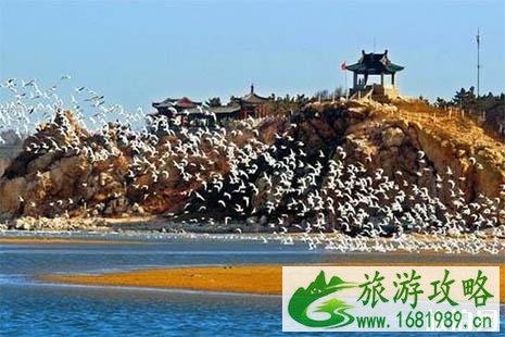 北戴河哪些国有景区每年11月到次年3月年免费开放 北戴河哪些国有景区每年11月到次年3月年免费开放